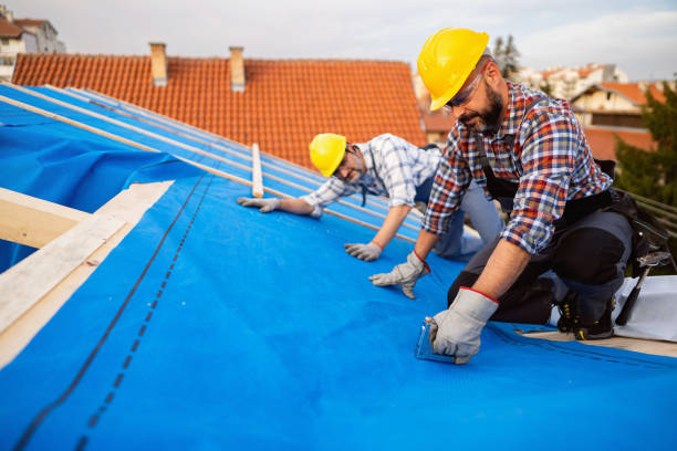 Best Rubber Roofing (EPDM, TPO)  in Eaton, CO